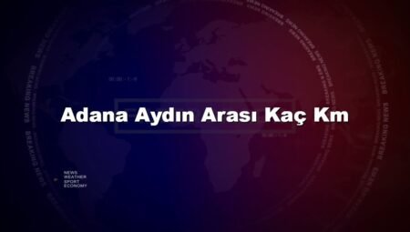 Adana Aydın Arası Kaç Km