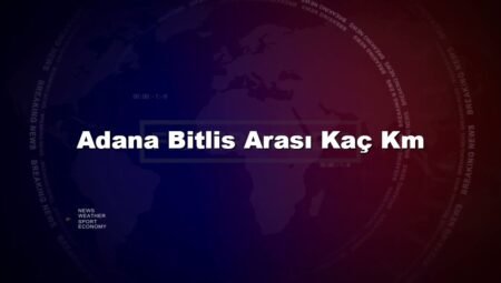 Adana Bitlis Arası Kaç Km