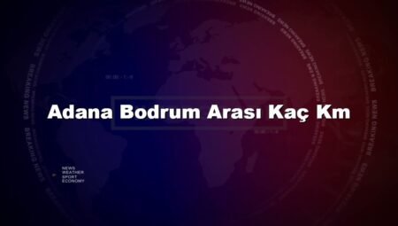 Adana Bodrum Arası Kaç Km