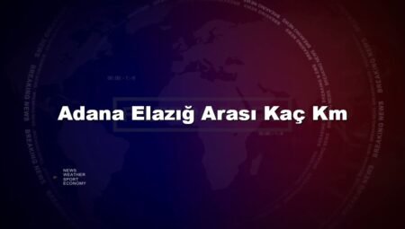 Adana Elazığ Arası Kaç Km