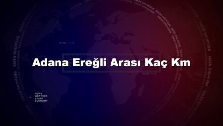 Adana Ereğli Arası Kaç Km