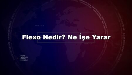 Flexo Nedir? Ne İşe Yarar