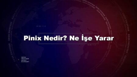 Pinix Nedir? Ne İşe Yarar