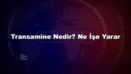 Transamine Nedir? Ne İşe Yarar